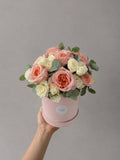 Blush