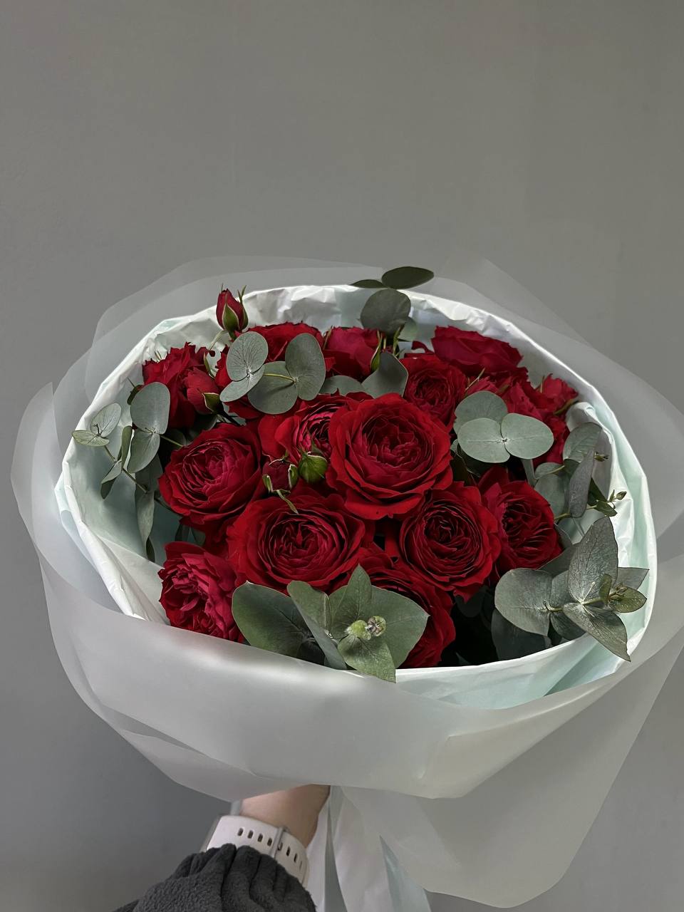 Crimson Elegance