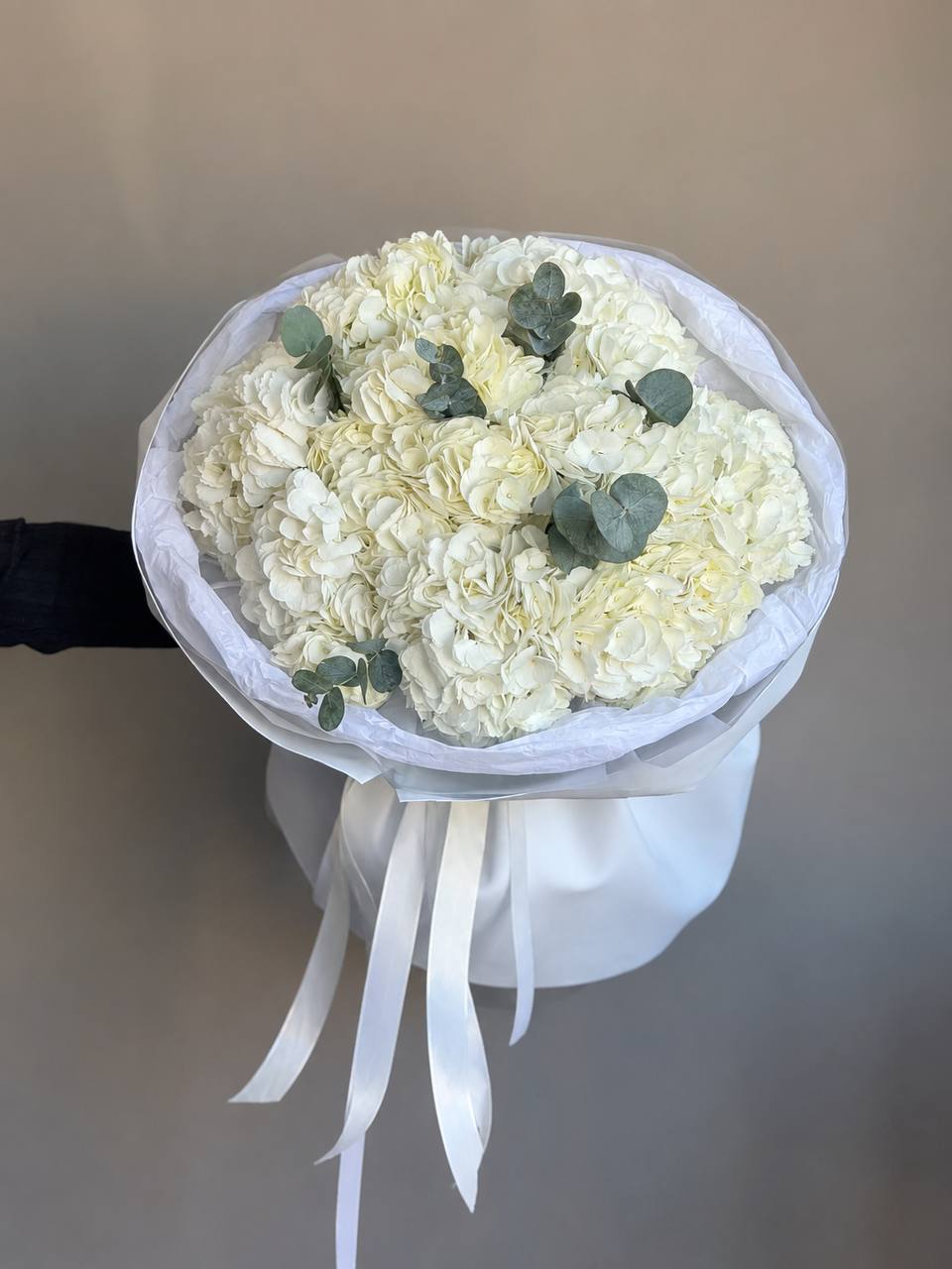 Ivory Cloud