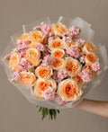 Apricot