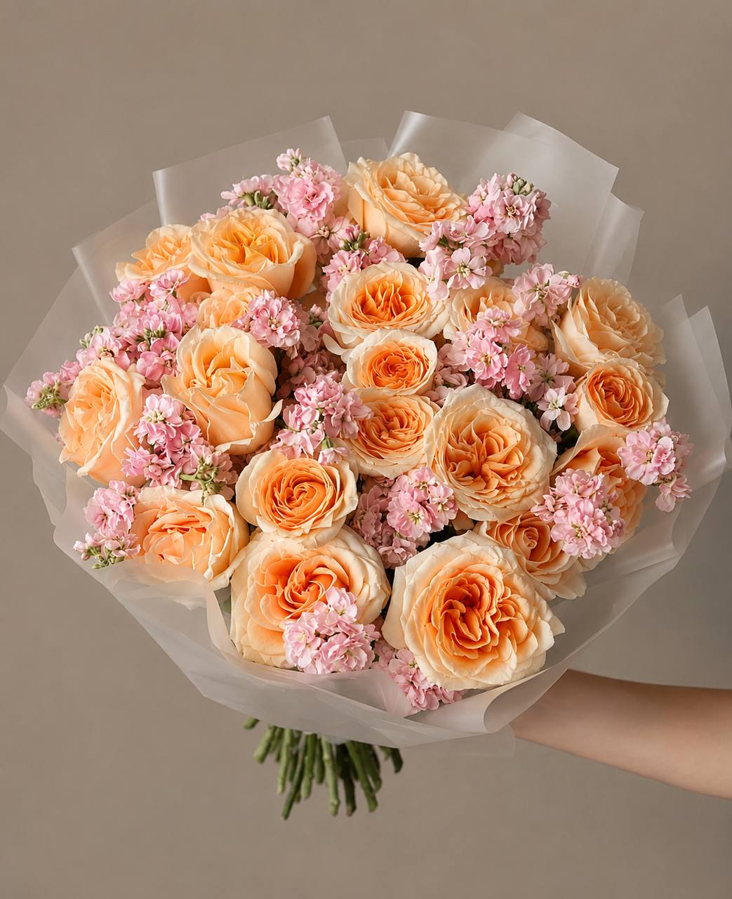 Apricot